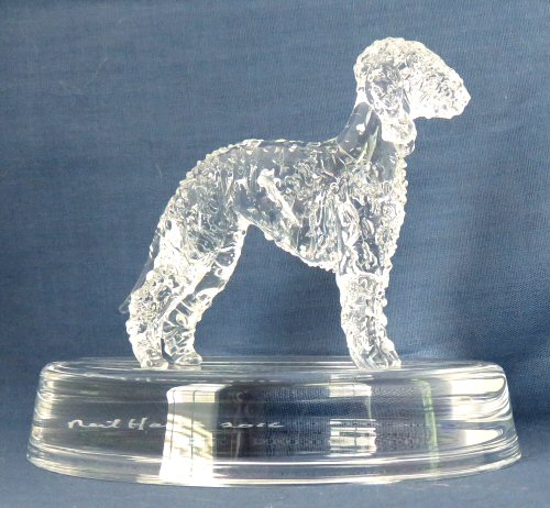 Crystal Bedlington Terrier