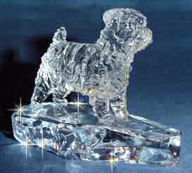 Hand-Sculpted Crystal Statue of Norfolk Terrier 3/4 View
