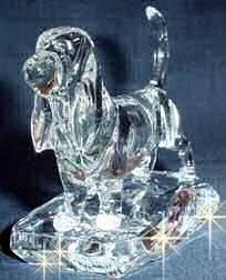 Crystal Basset Hound