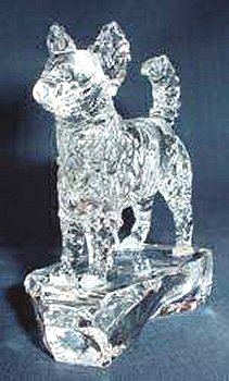 Crystal Long-Coated Chihuahua